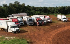 Gần 2.000 container sầu riêng bị ùn ứ, Đắk Lắk lên kế hoạch xây trung tâm kiểm nghiệm