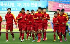 Việt Nam dự U20 World Cup vào năm nào?