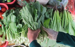 Bạn nên ăn bao nhiêu rau và trái cây mỗi ngày?