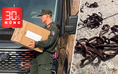 Bản tin 30s Nóng: Diễn biến mới vụ thẩm mỹ viện Mailisa; Kỳ lạ giun đất bò lên vỉa hè chết hàng loạt