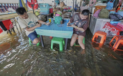 Nhà hàng Thái thành 'hiện tượng' khi khách vừa ăn vừa bị cá rỉa chân