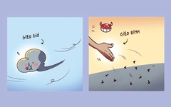 Đinh tặc hãy nhớ câu 'gieo gió ắt gặt bão'