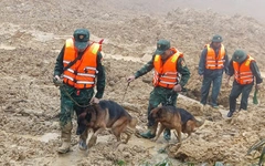 Cảnh khuyển, UAV được huy động tìm kiếm nạn nhân vụ sạt lở núi ở Đà Nẵng