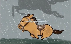 'Mã Tiểu Dã' - Chú ngựa vừa chạy vừa khóc này sao hot thế?