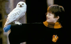 Fan Harry Potter sắp được trải nghiệm phép thật ngoài đời thực