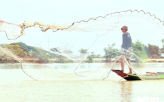 Người dân miền Tây bội thu mùa cá đồng