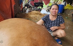 Mưa lũ miền Trung