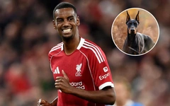 Alexander Isak mua chó 1 tỉ đồng làm ‘vệ sĩ’ sau khi bị dọa giết