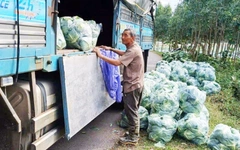 Mưa lũ miền Trung