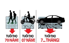 Tuổi thọ của đá lát vỉa hè là 70 năm hay 7 tháng?