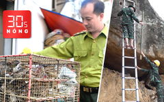 Bản tin 30s nóng: Tạm giữ cả ngàn con chim bán ở lề đường; Dùng thuốc nổ thông đèo Khánh Lê
