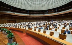 Nghị trường "êm đềm": chuyên nghiệp hay ít phản biện?