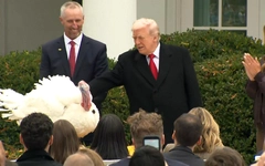 Cặp gà tây ở qua đêm tại khách sạn và thoát cảnh 'lên bàn tiệc' nhờ được ông Trump ân xá