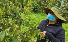 Kỳ họp thứ 10 Quốc hội khóa XV