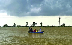 Lũ là tại ai: Chuyện từ hai Punjab