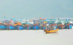 Mưa lũ miền Trung