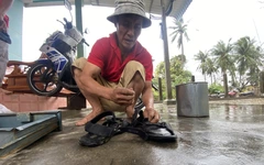 Mưa lũ miền Trung