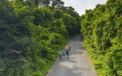 Tín chỉ carbon sẽ là cơ hội vàng cho Tây Ninh mới