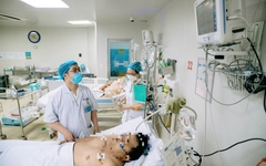 Việt Nam là 'điểm nóng' sốt xuất huyết, cần có chiến lược ứng phó chủ động