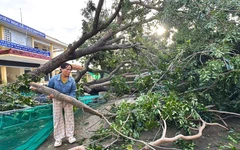 Bão số 13 gây thiệt hại nặng ở Đắk Lắk: 2 người chết, nhiều nhà sập và 54.000 lồng bè thủy sản hư hỏng