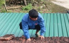 Khắc phục hậu quả bão lũ