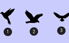 Quiz: Bạn là người hướng nội hay hướng ngoại?