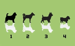 Quiz: Mọi người xung quanh nhìn nhận, đánh giá bạn thế nào?