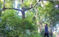 Khám phá khu rừng thiêng giữa lòng Đà Nẵng được người dân đồng lòng bảo vệ