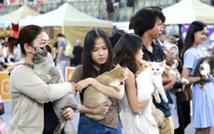 Bạn trẻ hào hứng đưa chó mèo đi thi sắc đẹp tại Ngày hội thú cưng