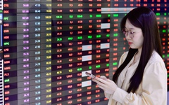 Sắc đỏ phủ thị trường: Cổ phiếu DGC, QCG nằm sàn 2 phiên liên tiếp