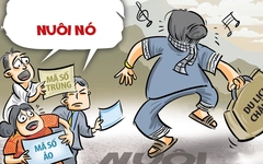 Từ thiện và những dự án 'nuôi nó'