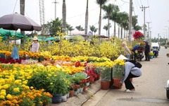 Cần Thơ tổ chức chợ hoa xuân trong 10 ngày, miễn phí tiền mặt bằng