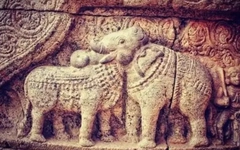 Quiz: Bạn sở hữu những phẩm chất tốt đẹp gì?