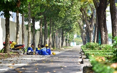 Sắp có tuyến đường dành riêng xe đạp đầu tiên tại TP.HCM