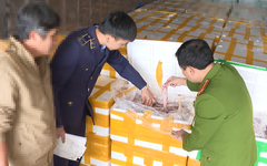 Phát hiện xe đầu kéo chở 7 tấn cá khoai có formol, tài xế khai hàng nhập từ Trung Quốc