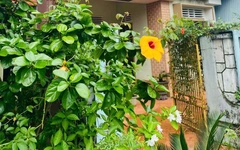 Mái ấm ngày xuân