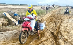 Ruộng đồng thành bãi cát sau lũ, người dân tranh thủ xúc đưa về nhà