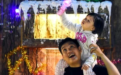 Đồng Nai lung linh đón Giáng sinh, cây thông nón lá nườm nượp khách