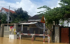 Mái ấm ngày xuân