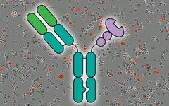 Đột phá tước bỏ thành công 'lớp khiên đường' của tế bào ung thư, mở hướng điều trị hứa hẹn