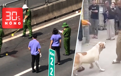 Bản tin 30s nóng: Điều tra vụ thi thể không nguyên vẹn trên cao tốc; Xác minh clip xua chó cắn người