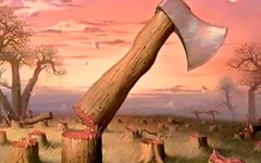 Quiz: Bạn đang cảm nhận cuộc sống thế nào?