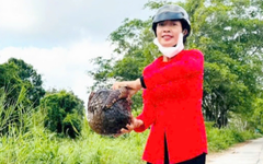 Phát hiện tê tê gần 6kg đang bò trên đường, đem thả về Vườn quốc gia U Minh Thượng