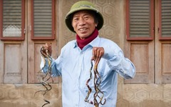 Loạt kỷ lục Guinness ấn tượng nhất năm 2025, có một người Việt Nam