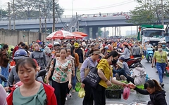 Gắng 'cày cuốc' để về quê ăn tết: Thức khuya dậy sớm vượt khó