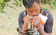 Video người đàn ông Ấn Độ 'hô hấp nhân tạo' cứu sống con rắn bị điện giật