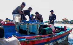 Mưa lũ miền Trung