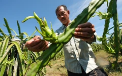 Mưa lũ miền Trung