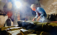 Mái ấm ngày xuân