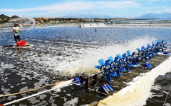 Gỡ bất cập thuế VAT cho nông nghiệp